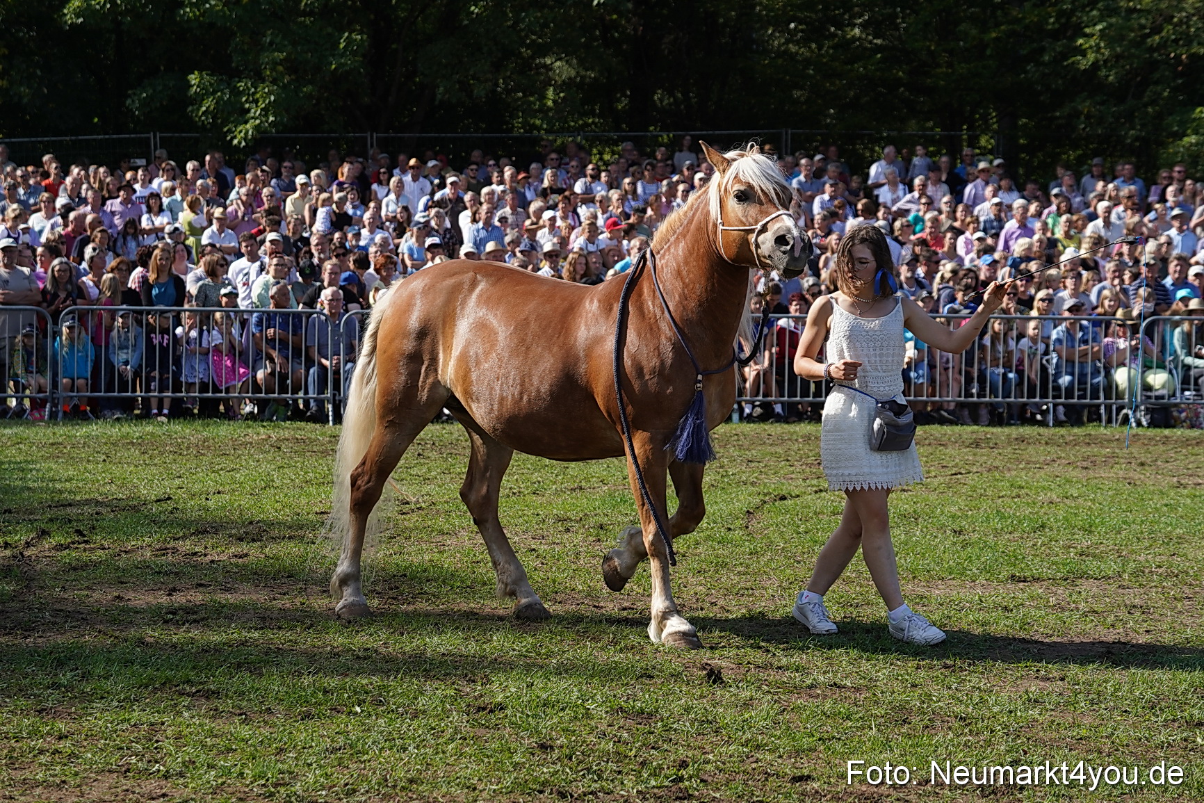 Pferde und Fohlenschau 2022 0159 
